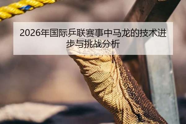 2026年国际乒联赛事中马龙的技术进步与挑战分析