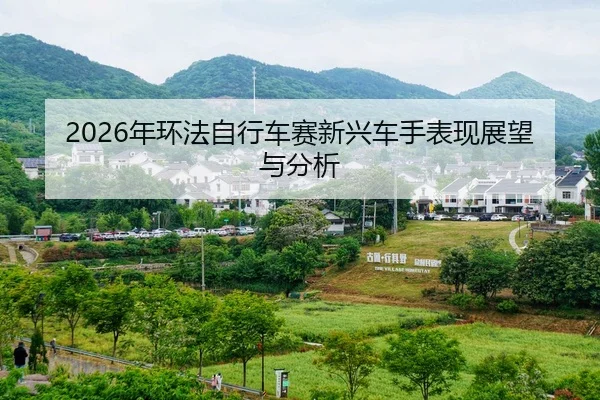 nian-huan-fa-zi-xing-che-sai-xin-xing-che-shou-biao-xian-zhan-wang-yu-fen-xi-2-651.jpg