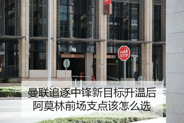 曼联追逐中锋新目标升温后 阿莫林前场支点该怎么选